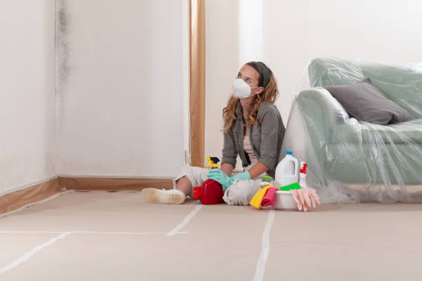 Reliable Mold Removal contractor in Downers Grove, IL by Car Mold Remediation